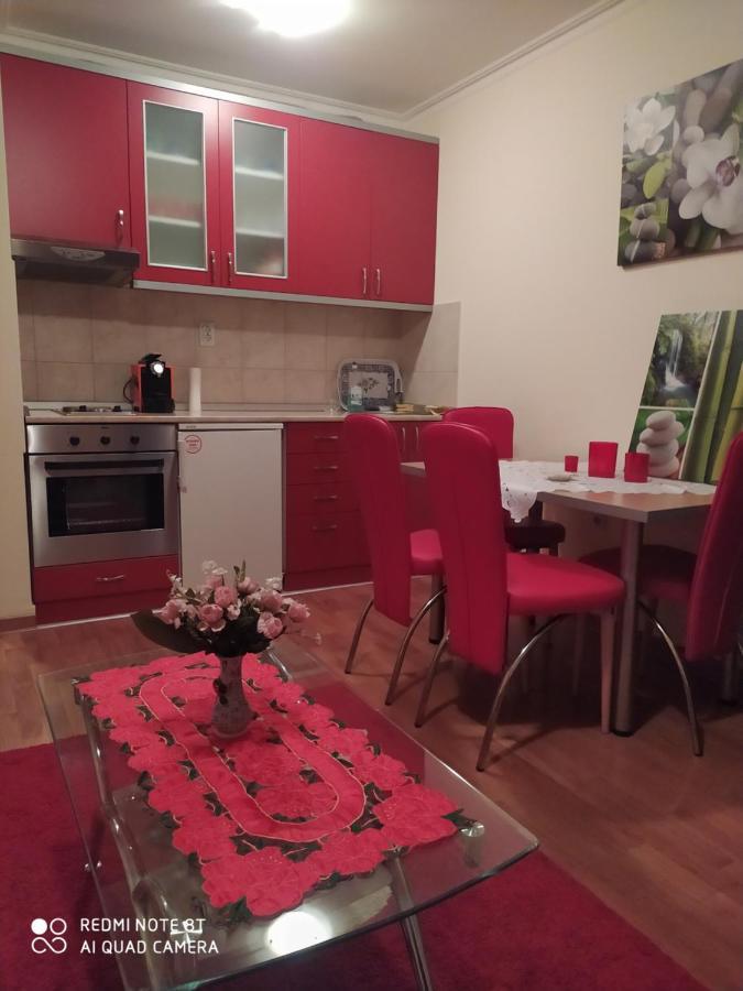 Apartman Arsenijevic Vrnjačka Banja 외부 사진